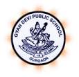 "  Gyan Devi Public School"