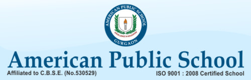American Public School